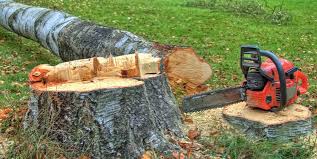 Best Commercial Tree Services  in Crugers, NY
