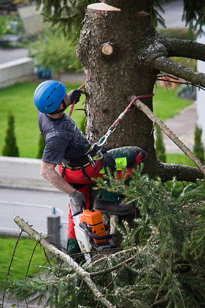Mulching Services in Crugers, NY