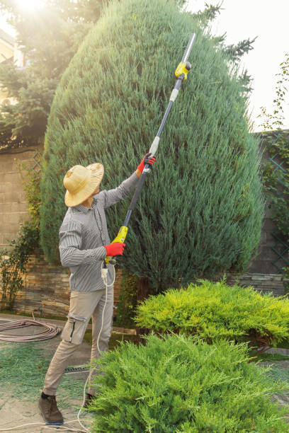 Best Lawn Maintenance Plans  in Crugers, NY